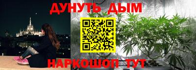 Альфа ПВП Ковров
