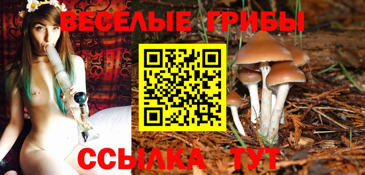 Псилоцибиновые грибы Magic Shrooms Рассказово