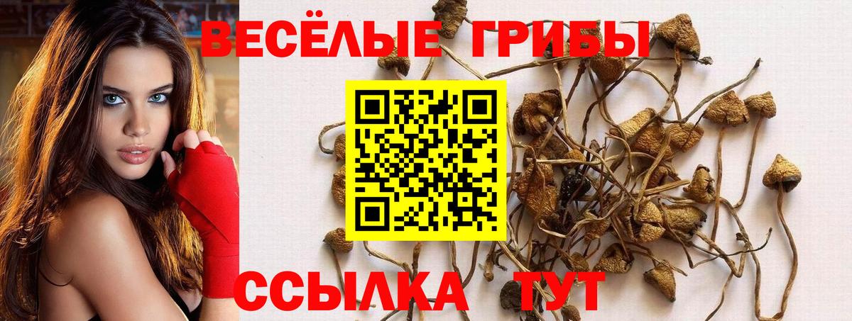 Рассказово  Псилоцибиновые грибы мицелий  Вход с VPN 